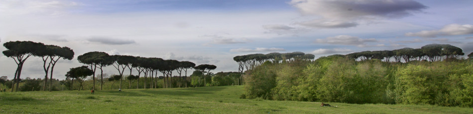 IC Margherita Hack – Home: slideshow image 5