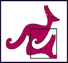 kangourou Italia
